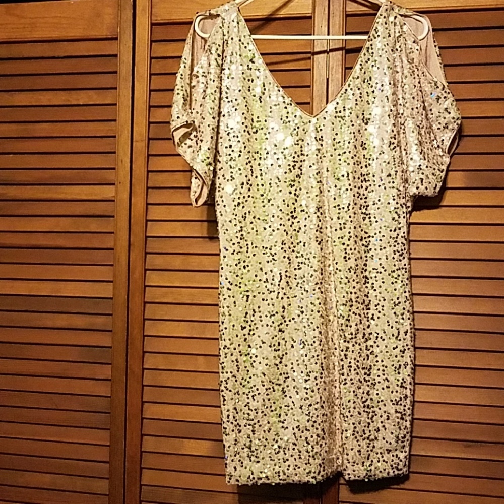 NWT Sequin Dress